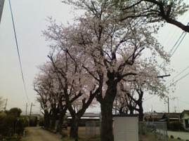 20100412055644.jpg