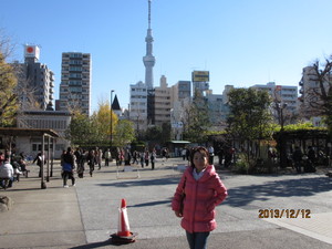 IMG_0355.JPG