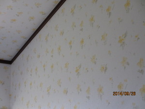 IMG_0749.JPG